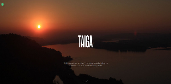 We are Taiga