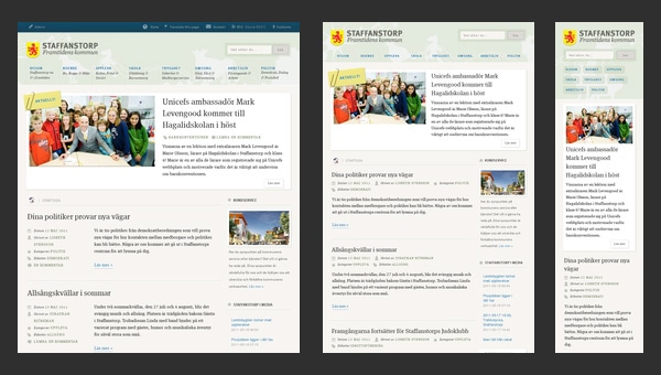 responsive web design assignment