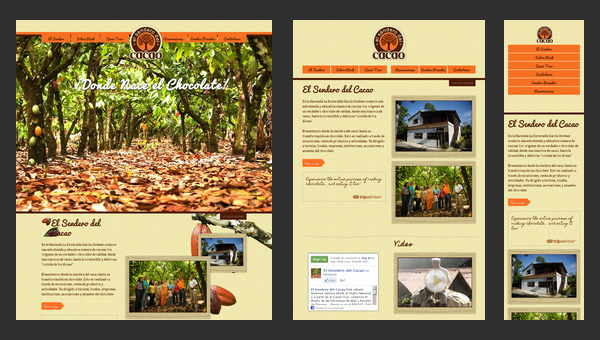 responsive web design assignment