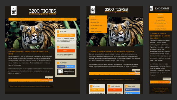 responsive web design assignment