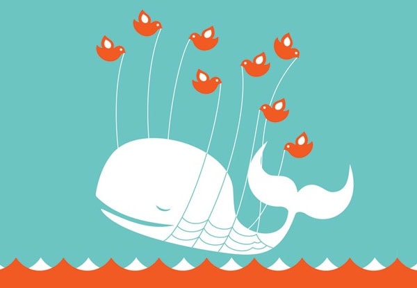 Twitter Whale