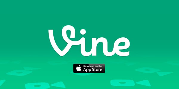 Vine