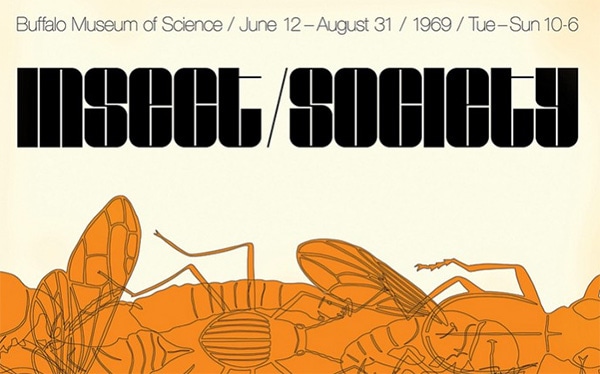 Insect Society