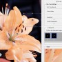 add blur in adobe photoshop mix add blur in adobe photoshop mix
