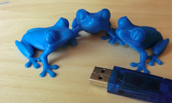 3d frogs