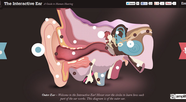 The Interactive Ear