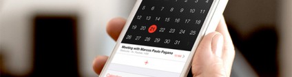 Well-Groomed Vibrant Calendar Widget Designs for Mobile Apps
