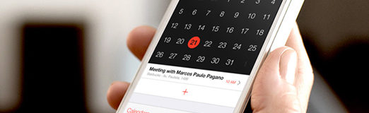 Well-Groomed Vibrant Calendar Widget Designs for Mobile Apps