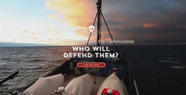 Defend Seashepherd