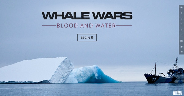 Whale Wars