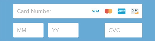 The User Experience of Credit Card Payment Forms