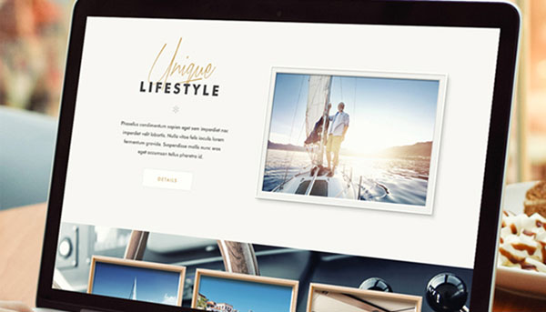 Web design portfolio case studies