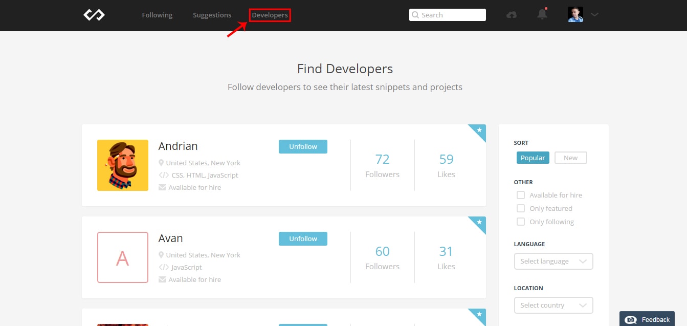 Codepad Following developers 