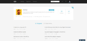 Codepad: A New Way of Saving and Sharing Code Snippets