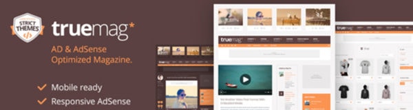 Build a Successful AdSense Optimized Website with Truemag