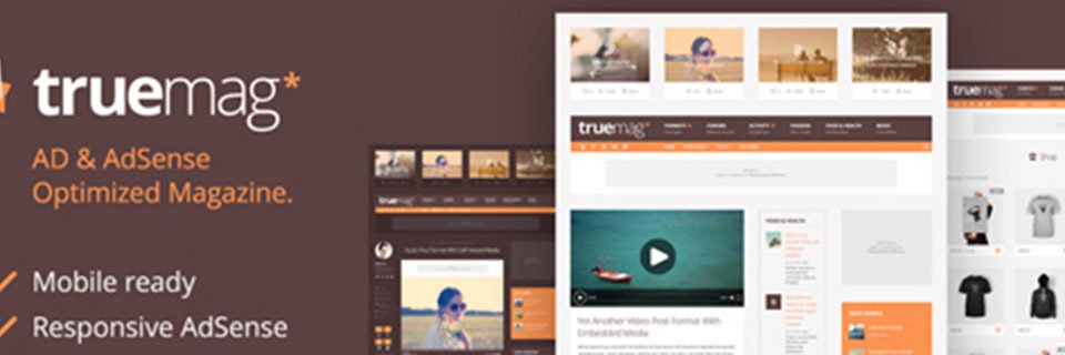 Build a Successful AdSense Optimized Website with Truemag