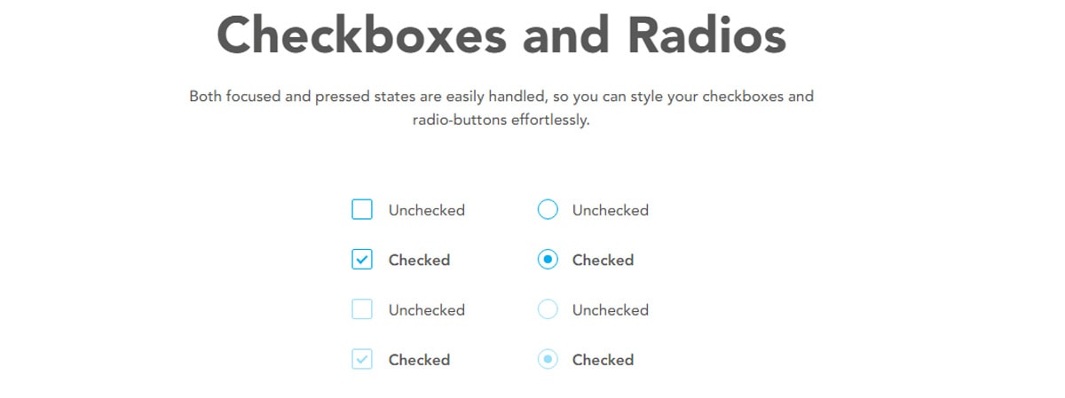 JavaScript Custom Forms