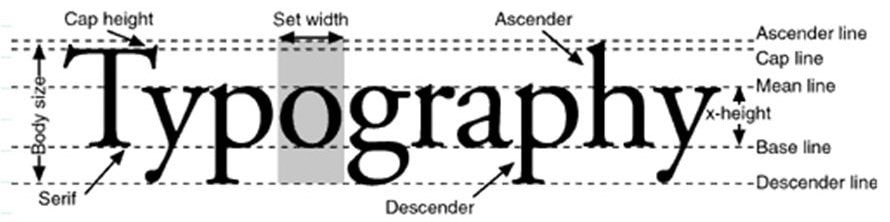 Baseline шрифта. Типографика шрифт верстка дизайн. X-height шрифт. Ascender шрифт.