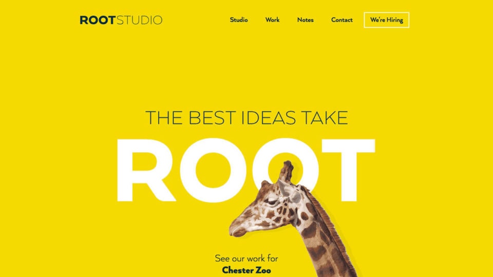 Trending ways to use color in web design