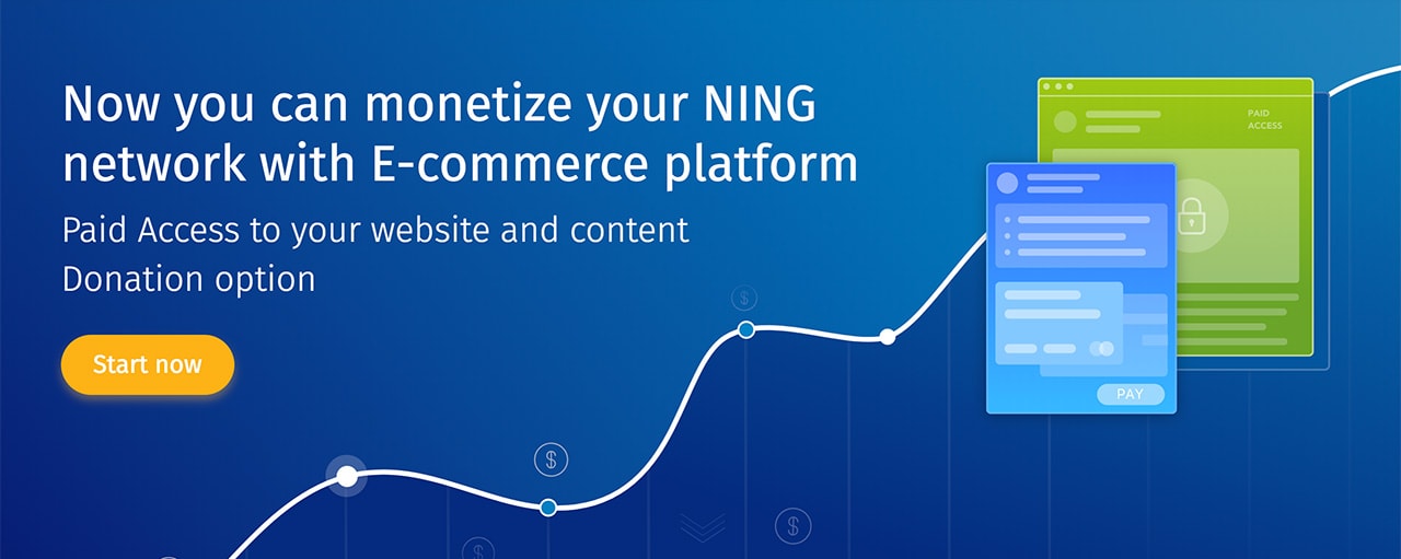 Ning Monetization Tools