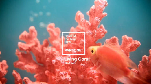 Pantone’s Color of The Year is Living Coral, Examples of Use