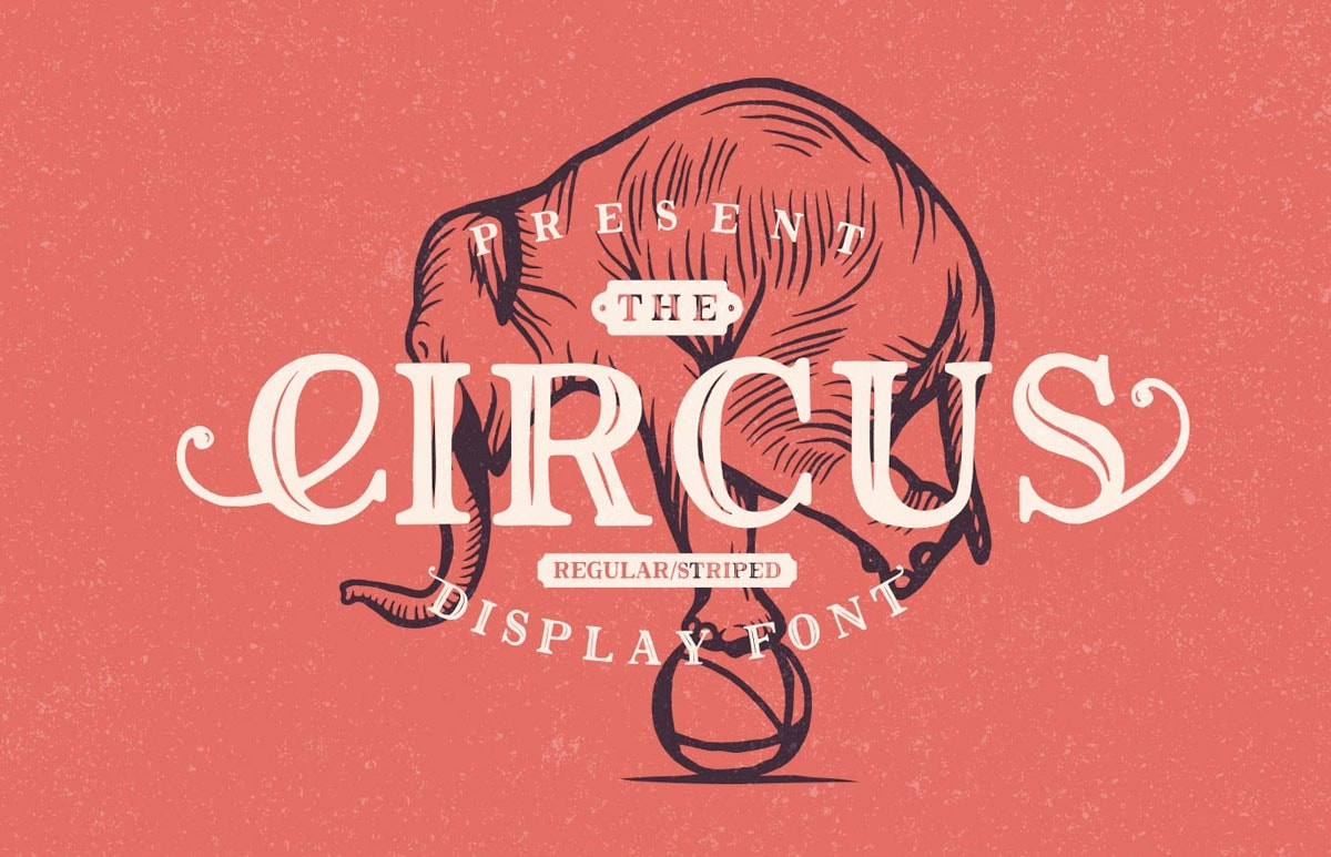 Circus Display