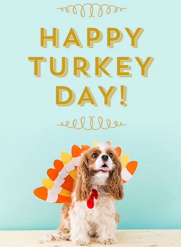 Happy Turkey Day Email