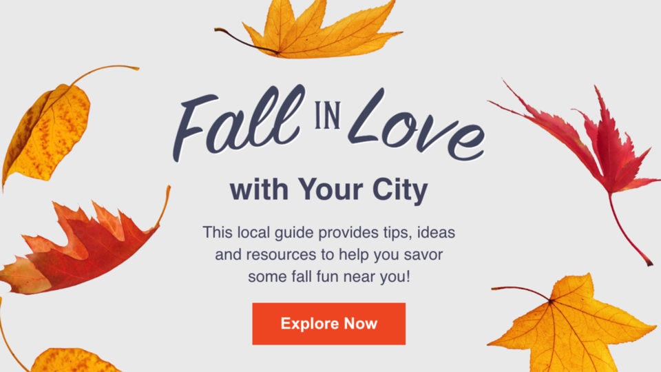 Examples of Great Fall Email Newsletters with Tips and Tricks