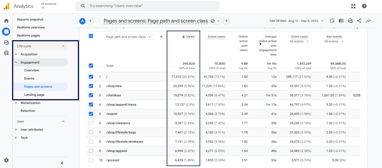 Google Analytics 4 dashboard displaying views for user engagement tracking.