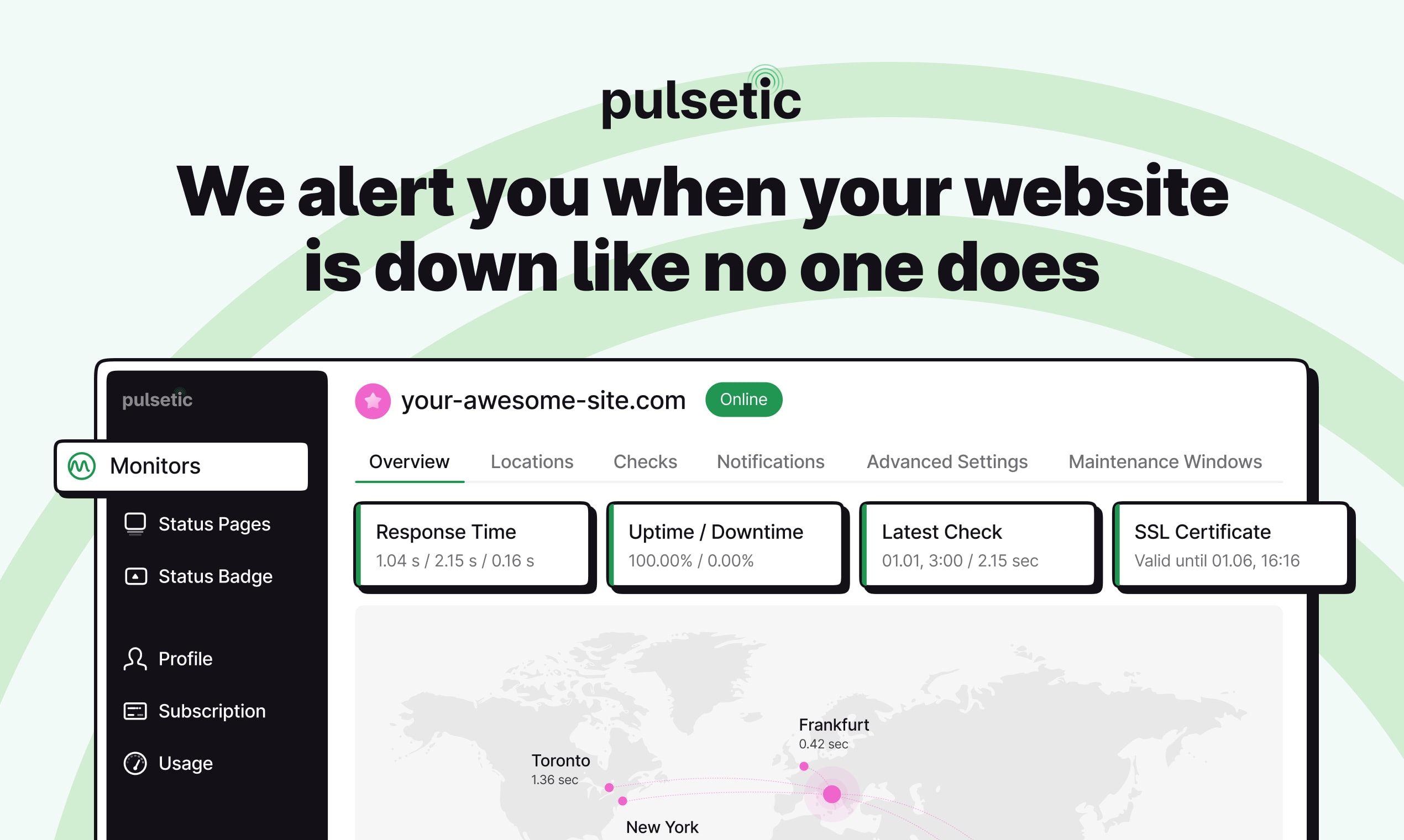 Using Pulsetic Website Uptime Monitor Solution