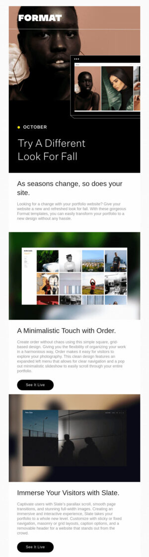 Fall Email Newsletter Ideas and Examples for 2025