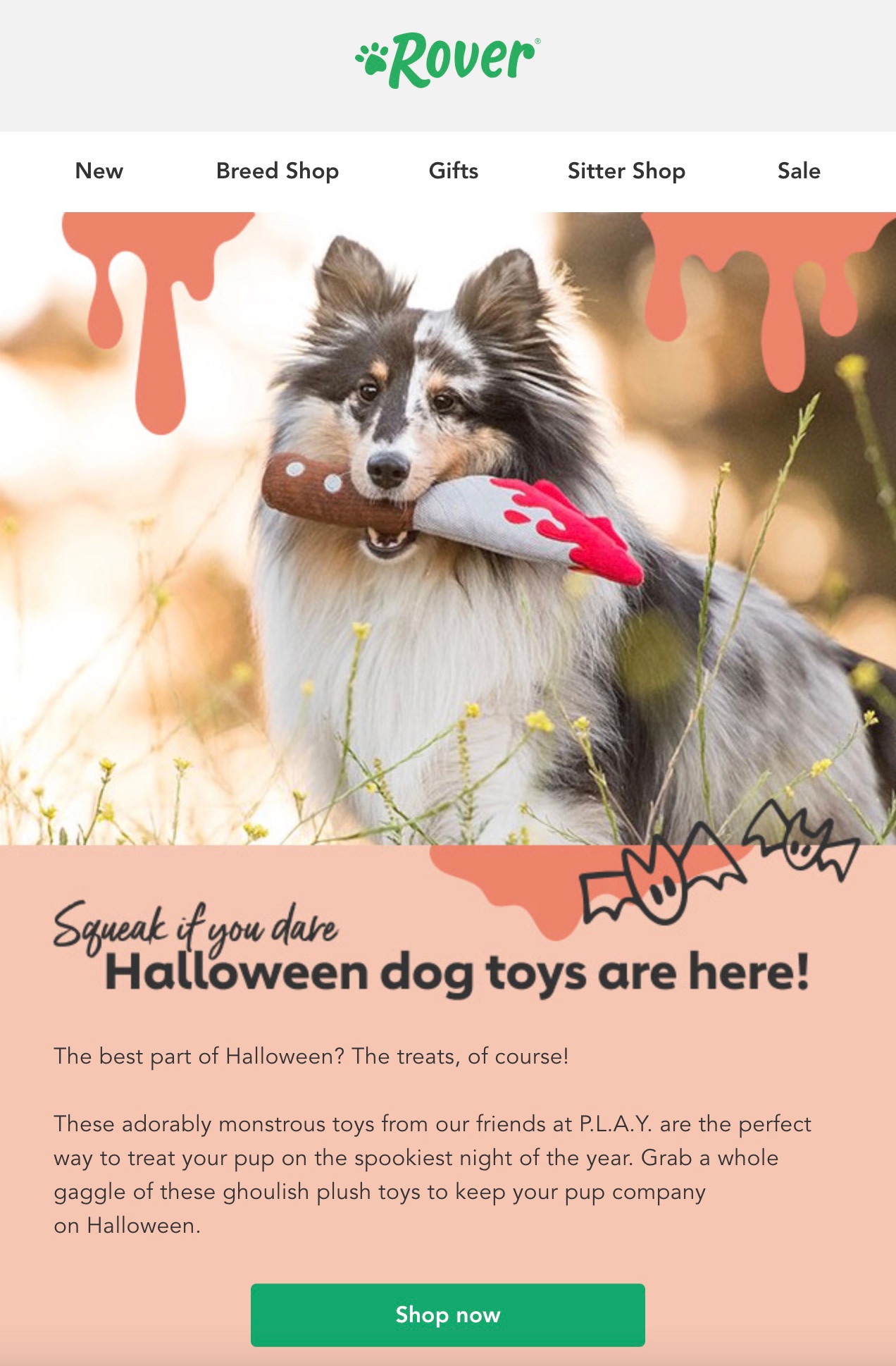 👻 Halloween toys your dog will love 🎃