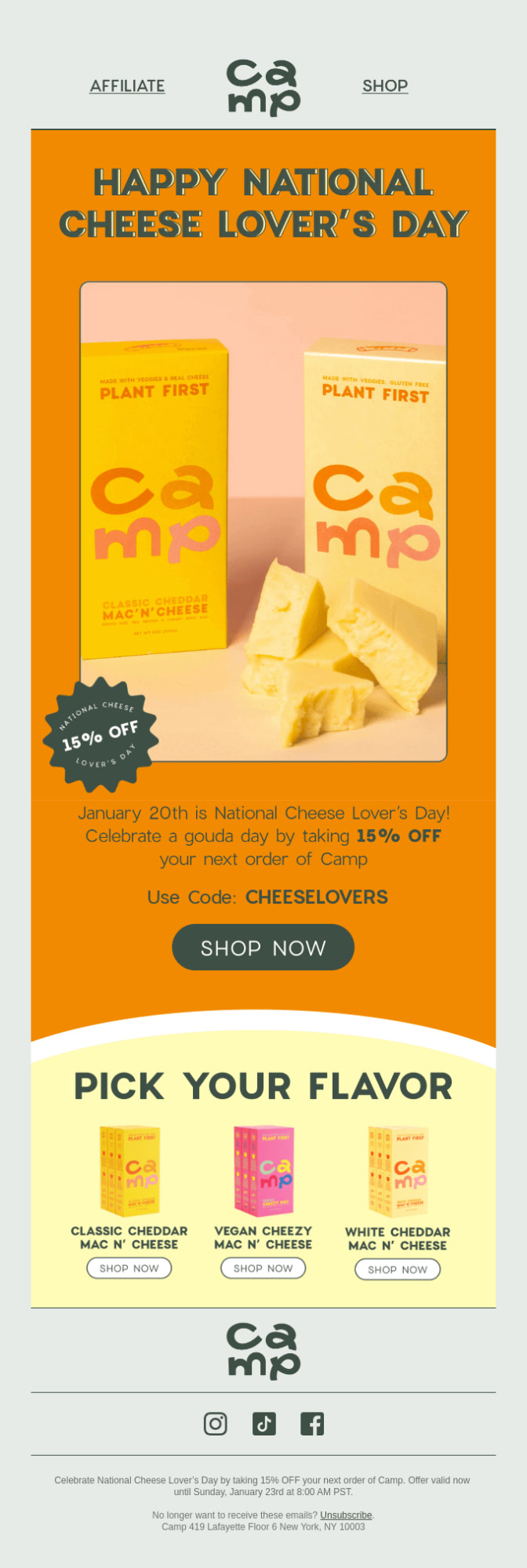Cheese lovers' day newsletter