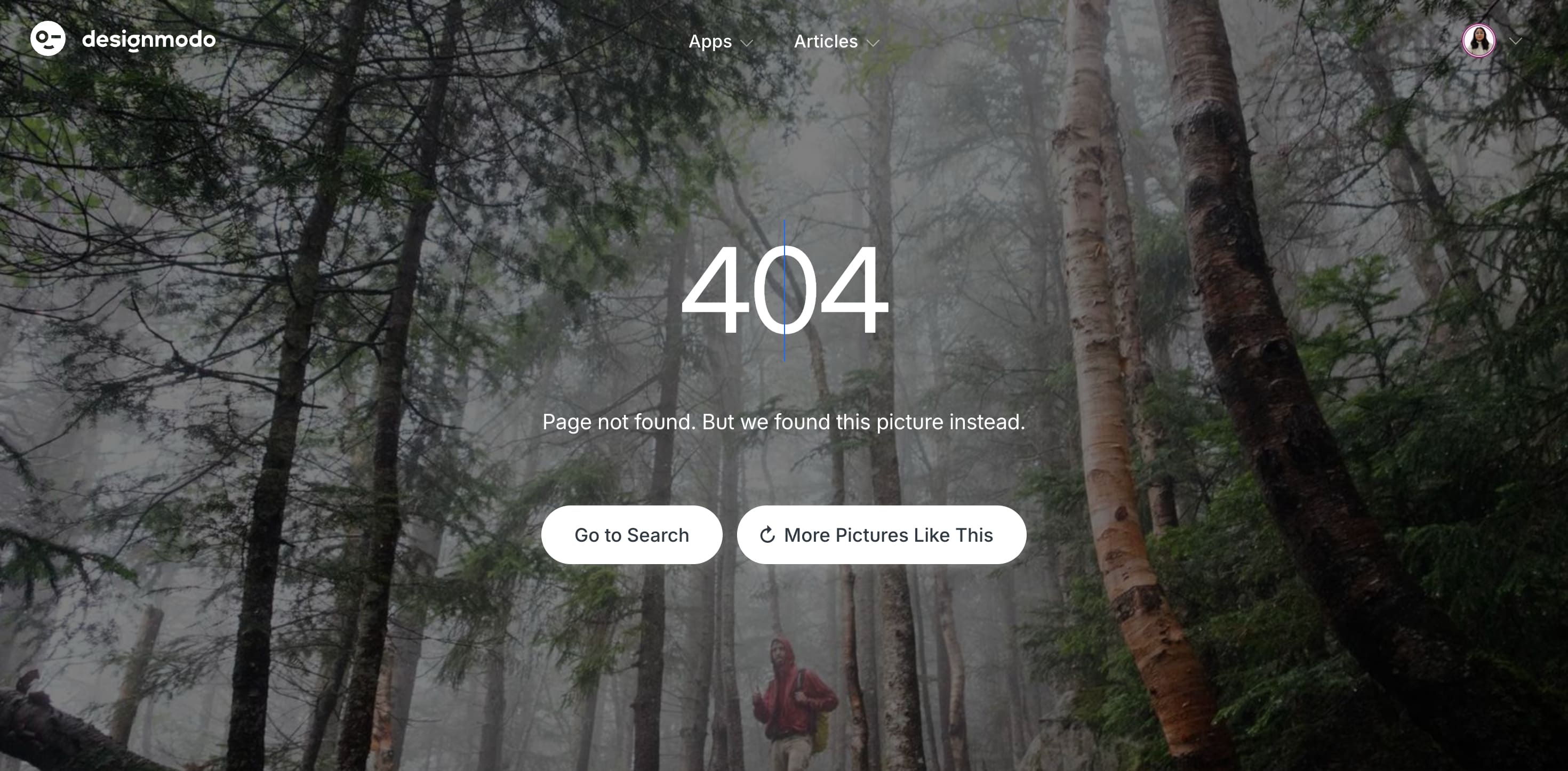 404 page in designmodo