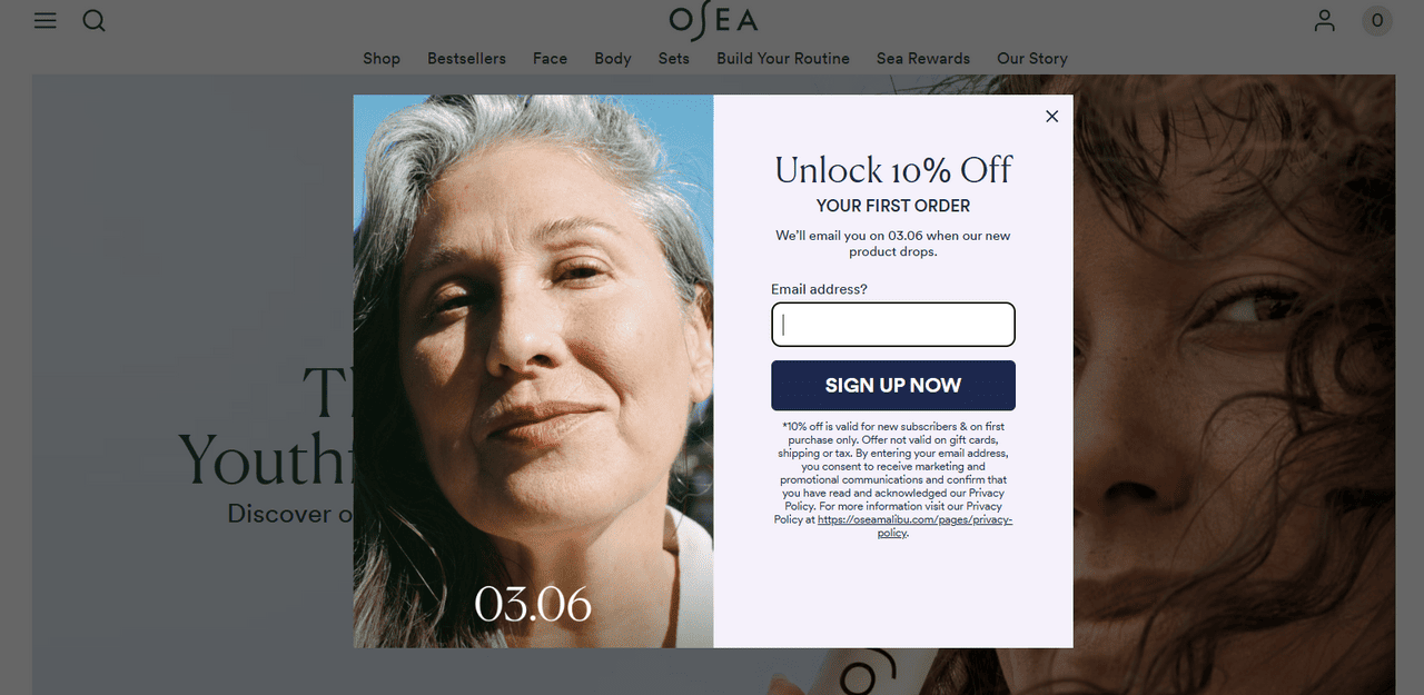 Osea's minimal email popup example