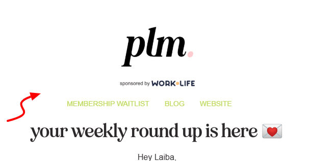 PLM's email as a good example for email header banner