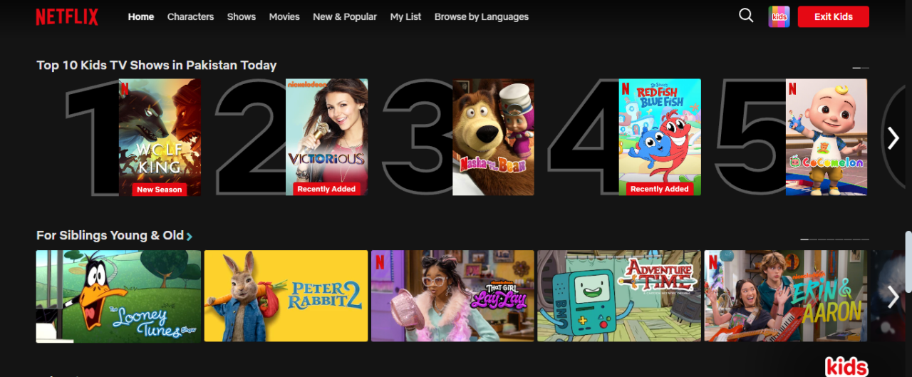Netflix's dynamic website