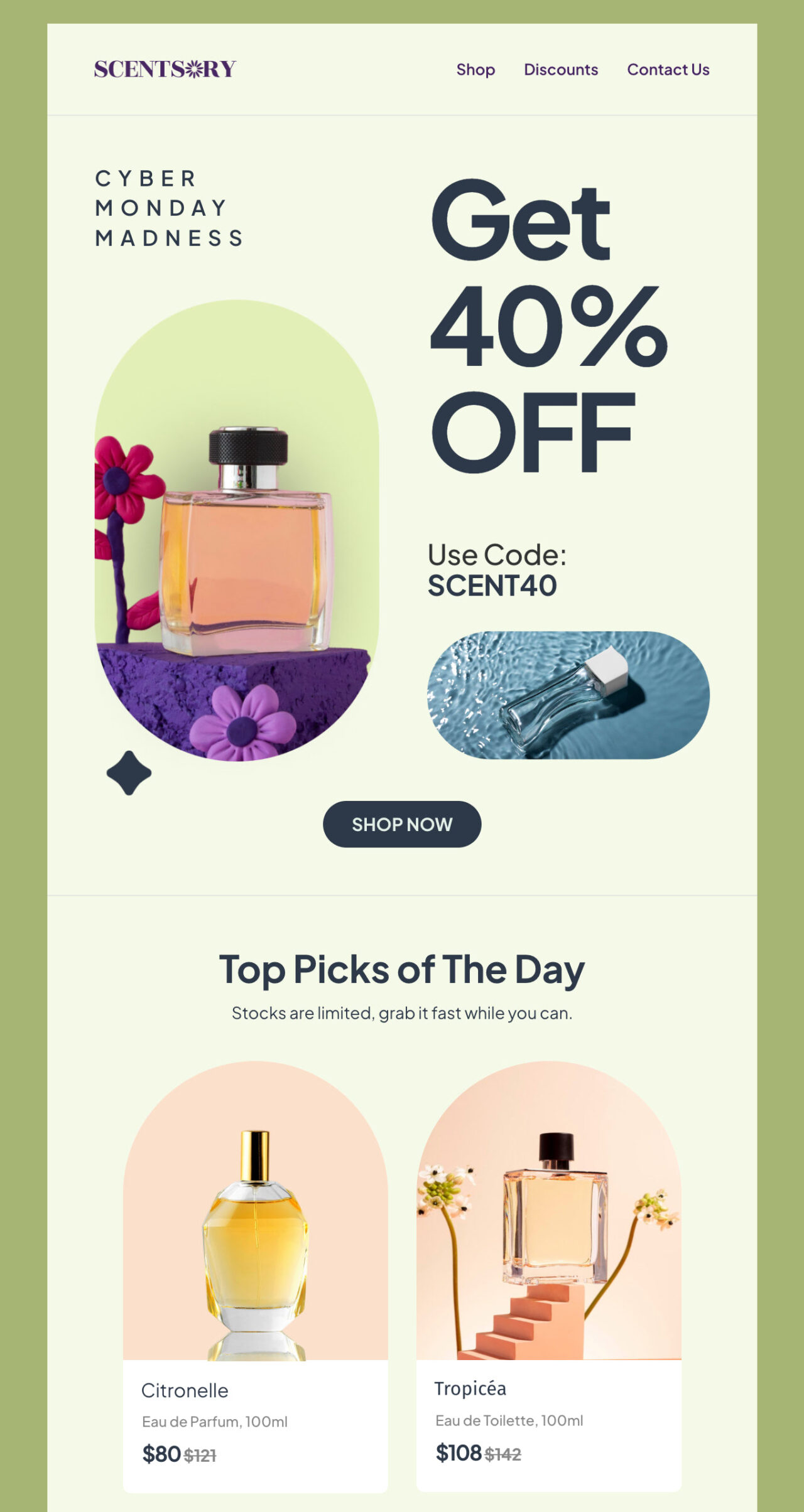 Scentsory's email newsletter template
