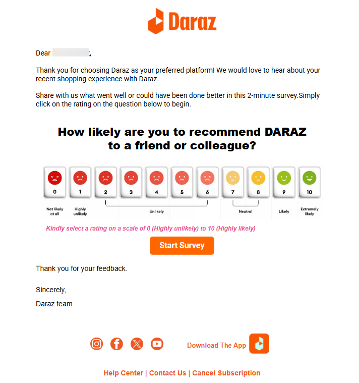 survey themed email newsletter