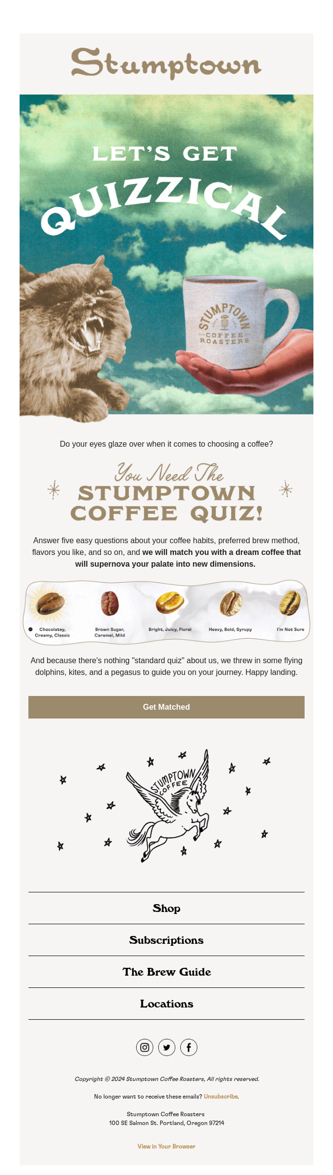 Quiz themed fun email newsletter